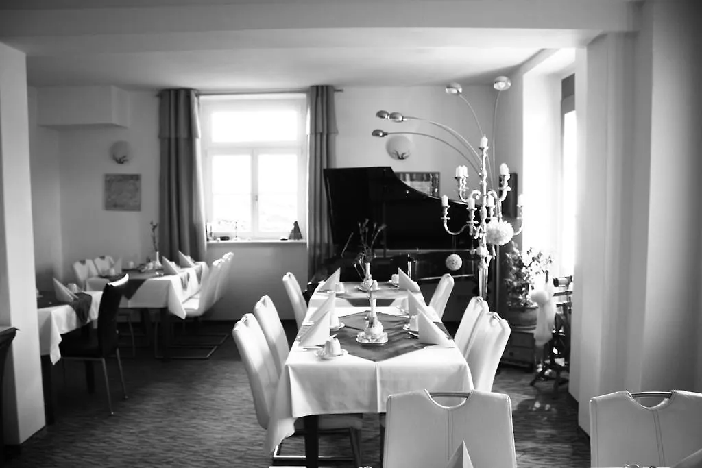 Hotel Villa Loschwitz Dresden 4*,