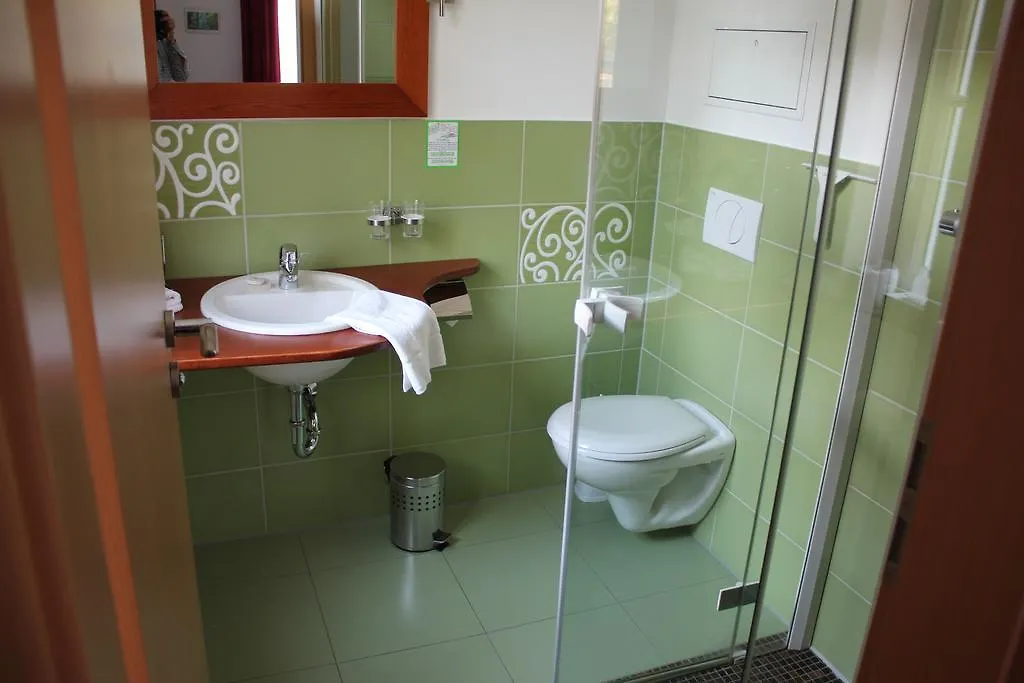 Villa Loschwitz Dresden Hotell